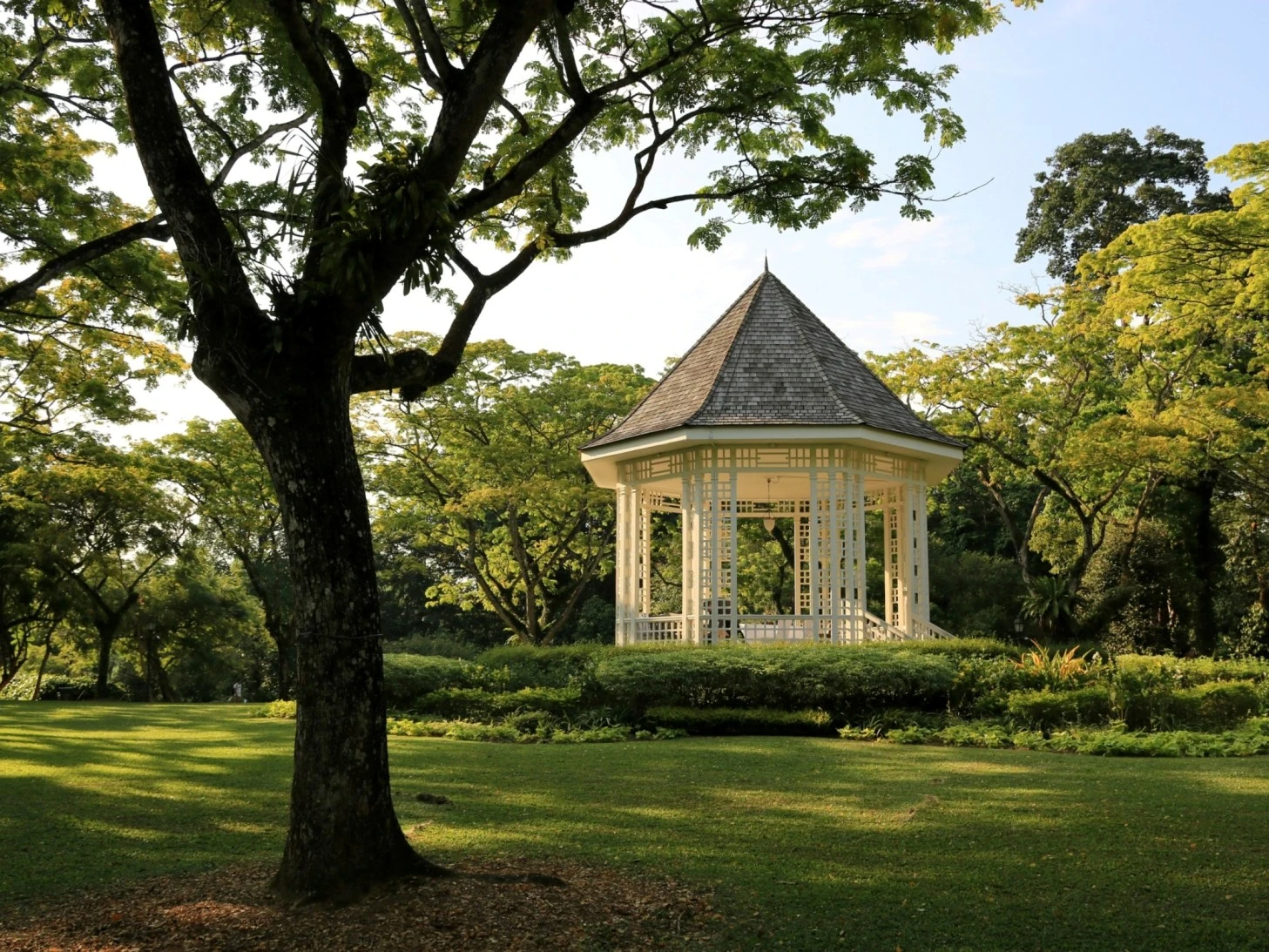 What is there to do in Singapore in 2024?