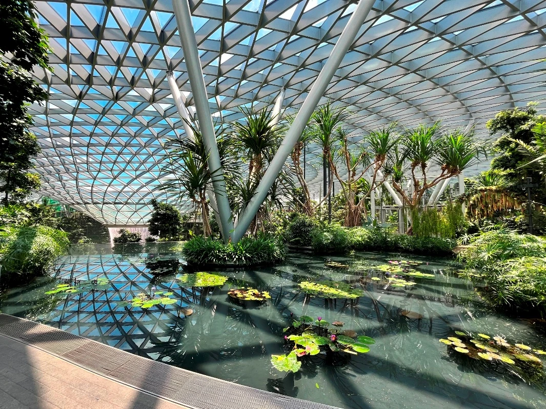 What is there to do in Singapore in 2024?