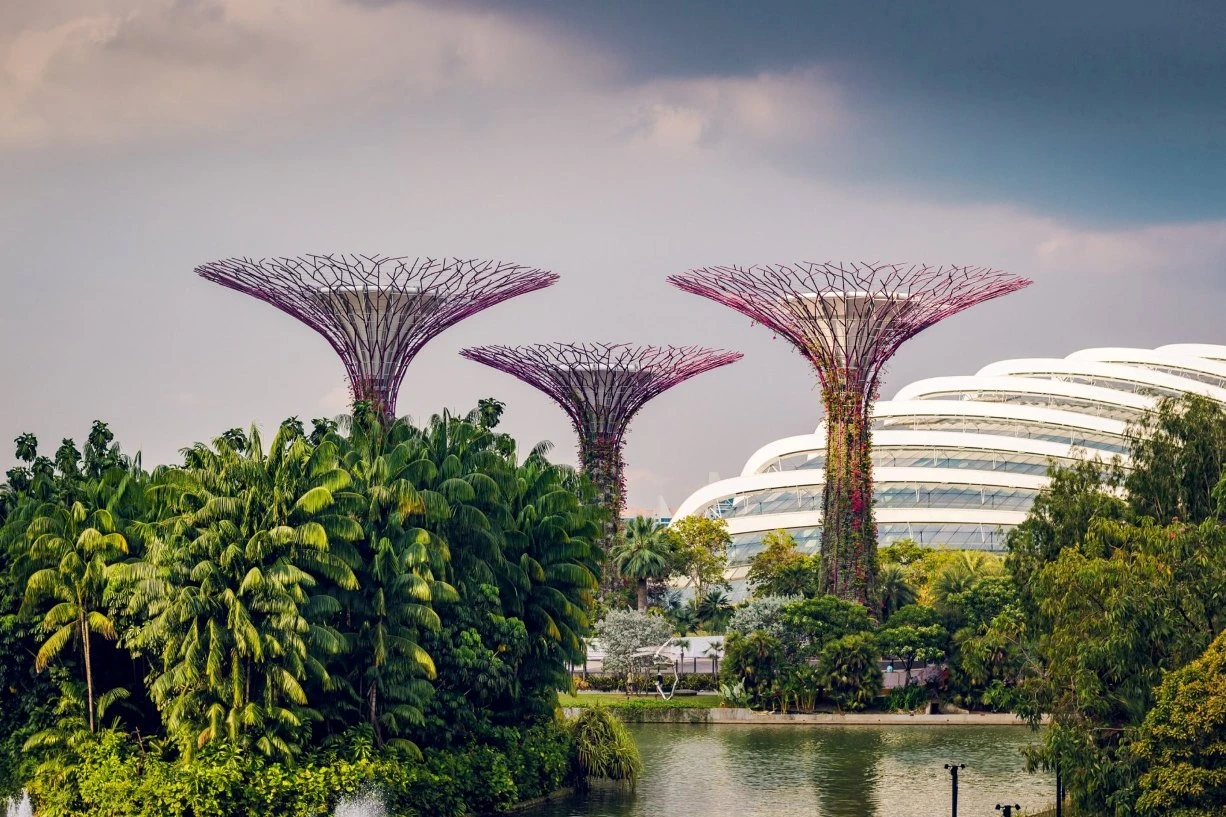 What is there to do in Singapore in 2024?